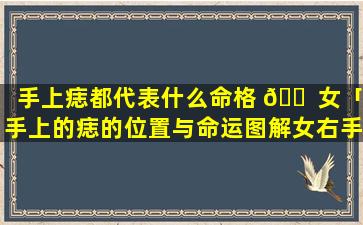手上痣都代表什么命格 🐠 女「手上的痣的位置与命运图解女右手」
